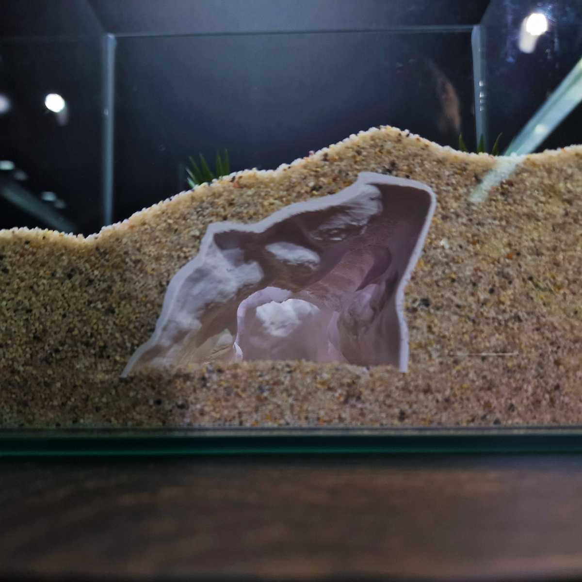 DriftCore Aquarium Tunnel — source 002 2