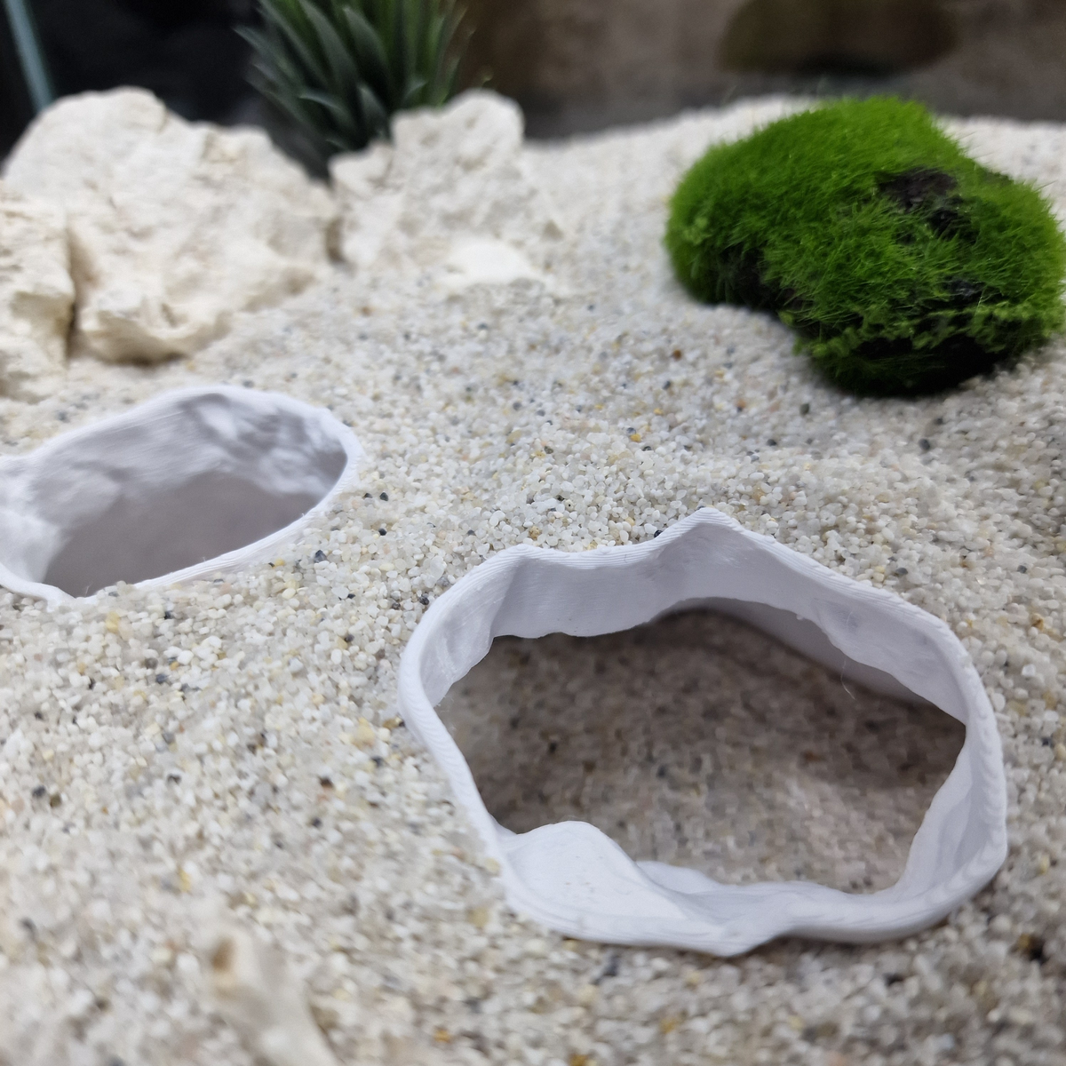 DriftCore Aquarium Tunnel — source 003 20260531_143113