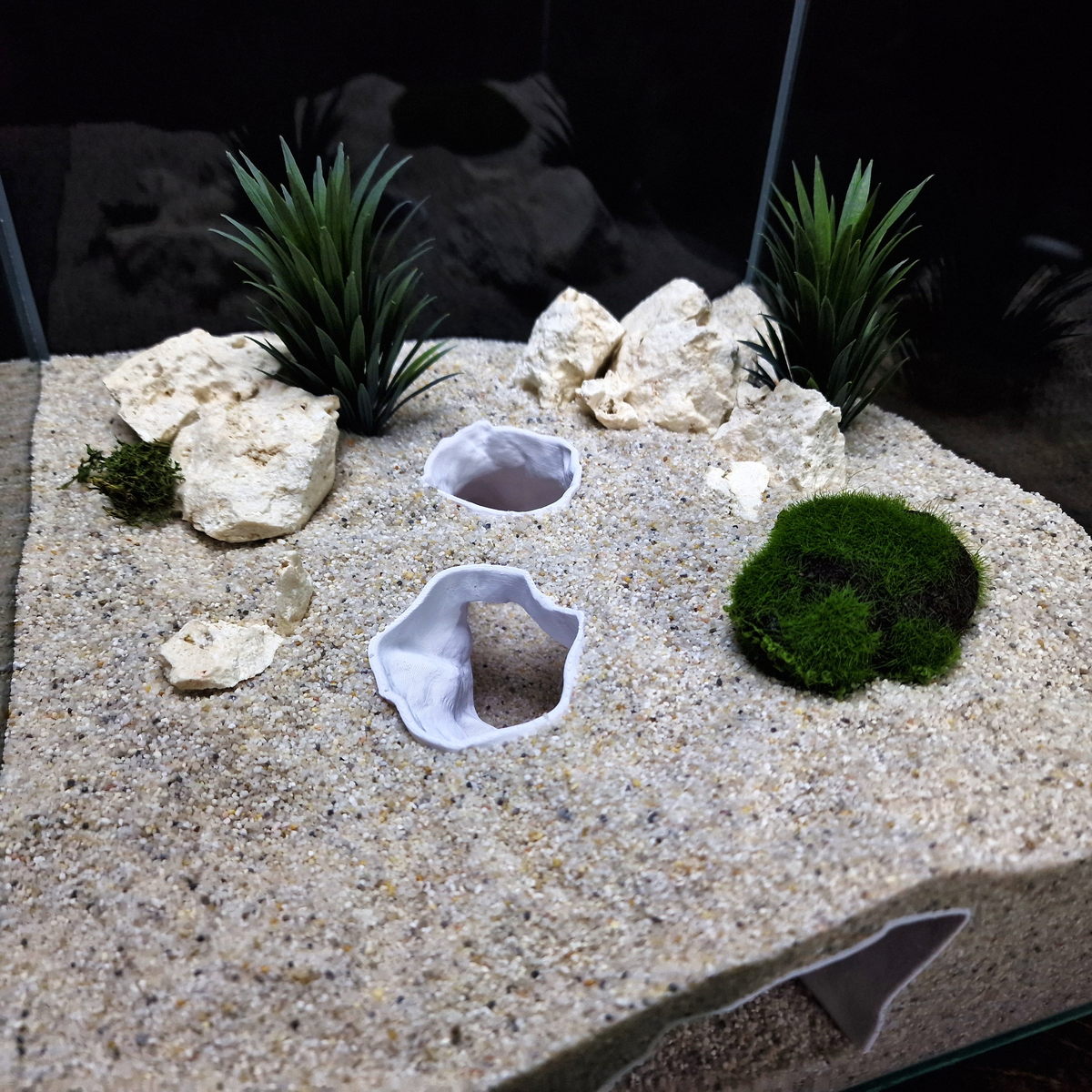 DriftCore Aquarium Tunnel — source 005 4