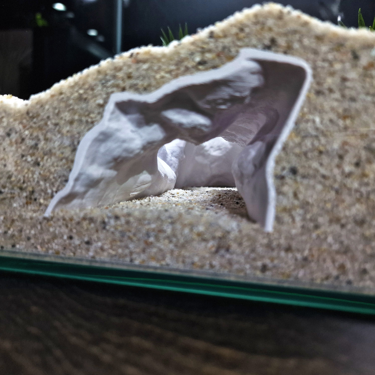 DriftCore Aquarium Tunnel — source 006 5