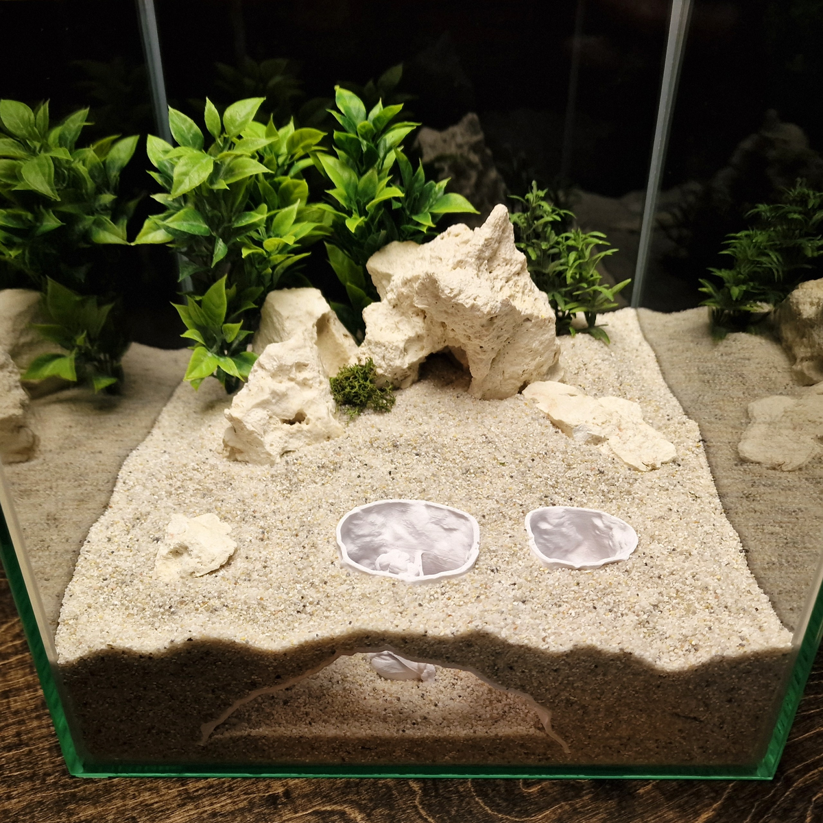Elf Hunter Aquarium Cave — source 005 4