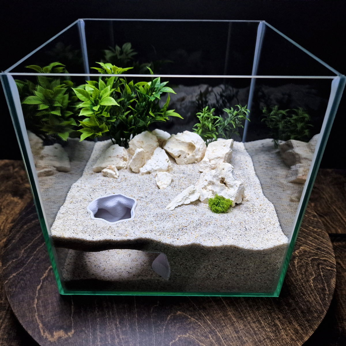 FluxDen Aquarium Cave — source 001 1