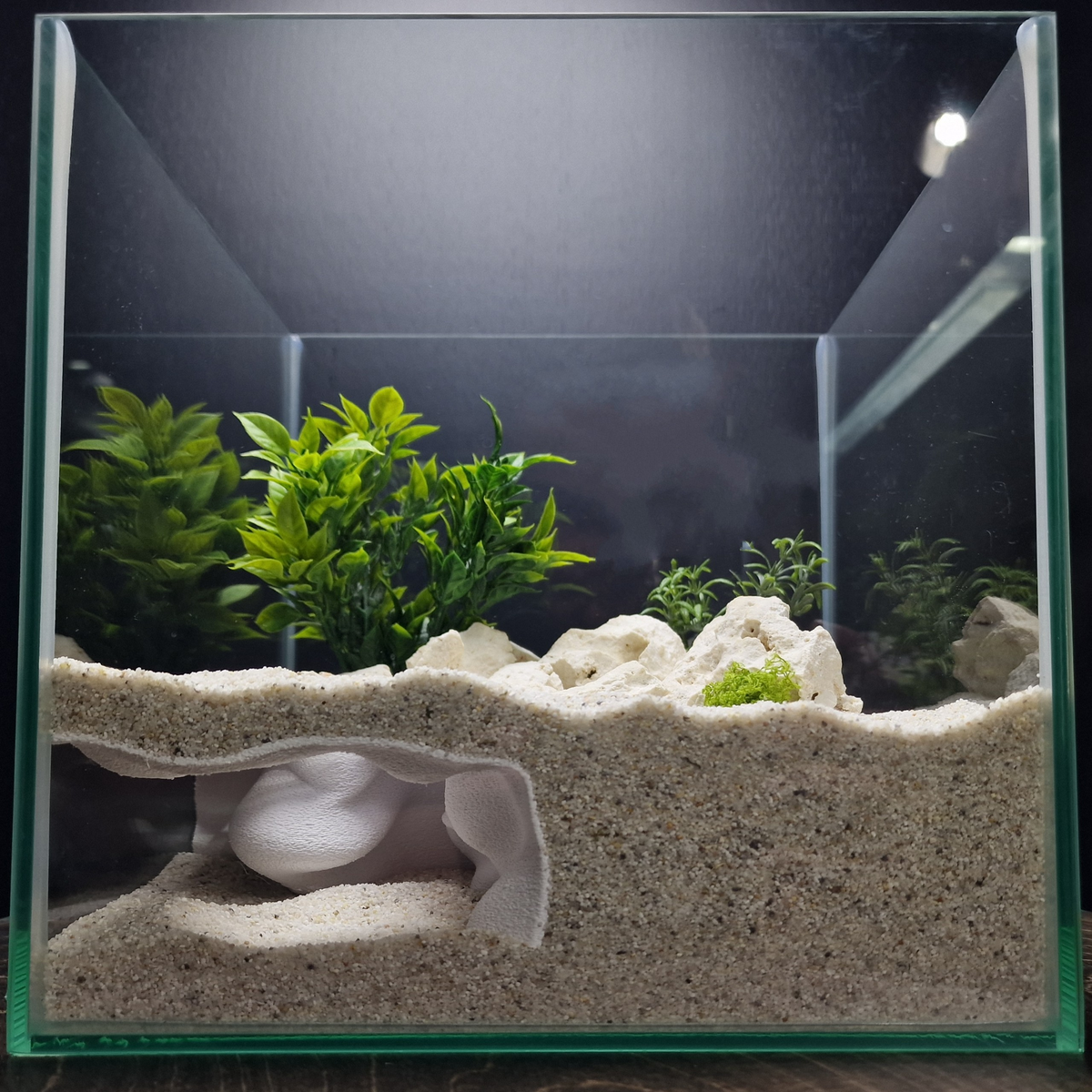 FluxDen Aquarium Cave — source 004 2