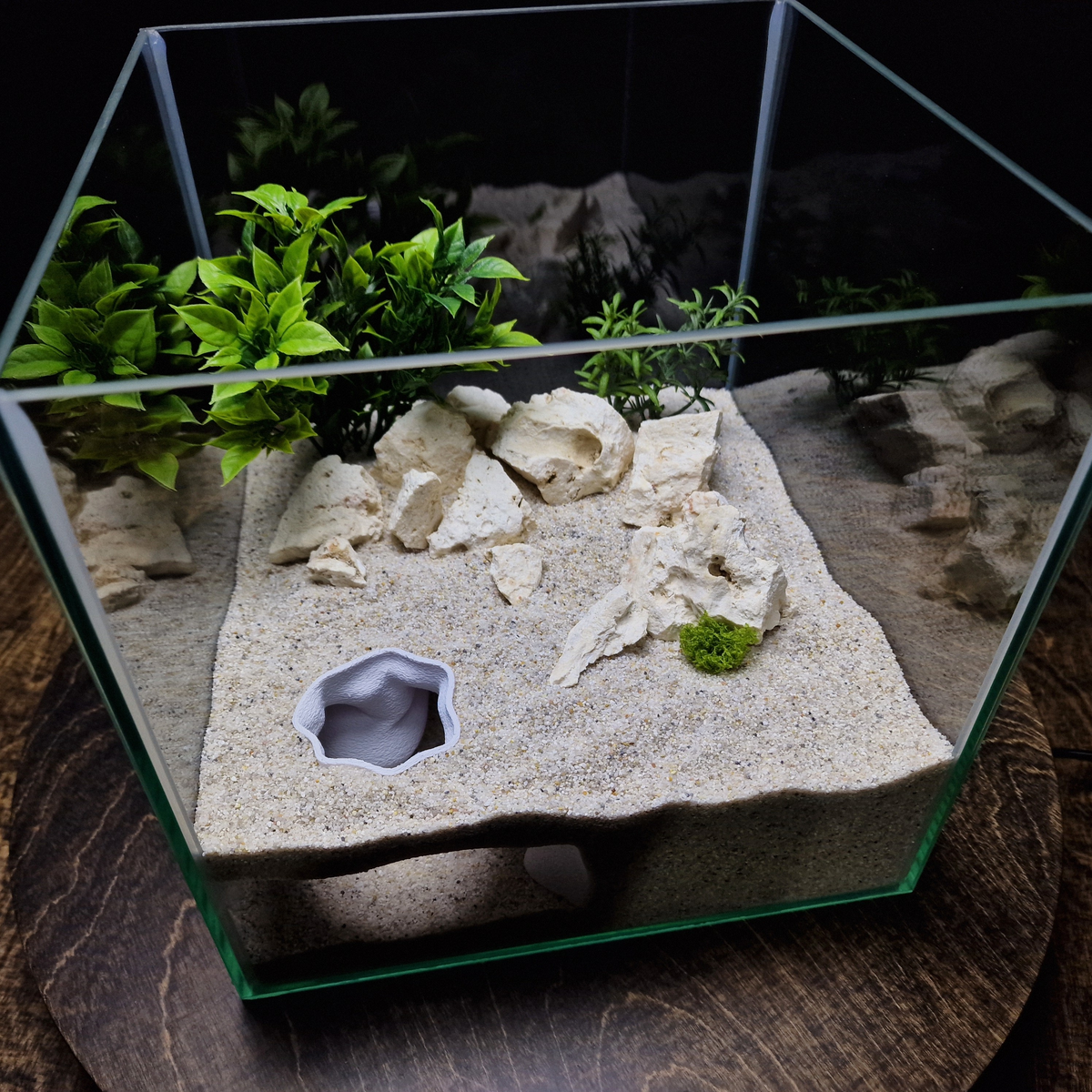 FluxDen Aquarium Cave — source 007 6