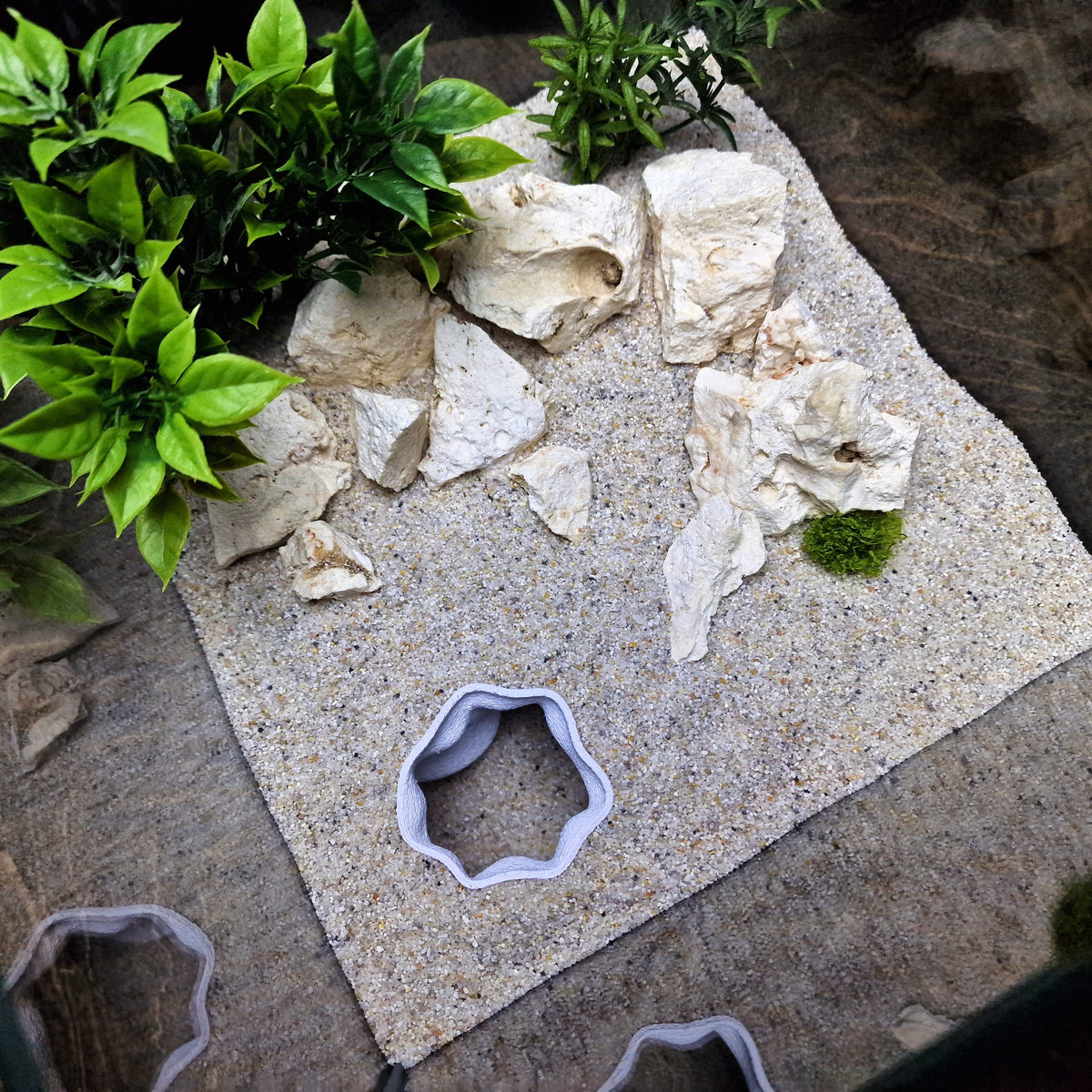 FluxDen Aquarium Cave — source 008 7