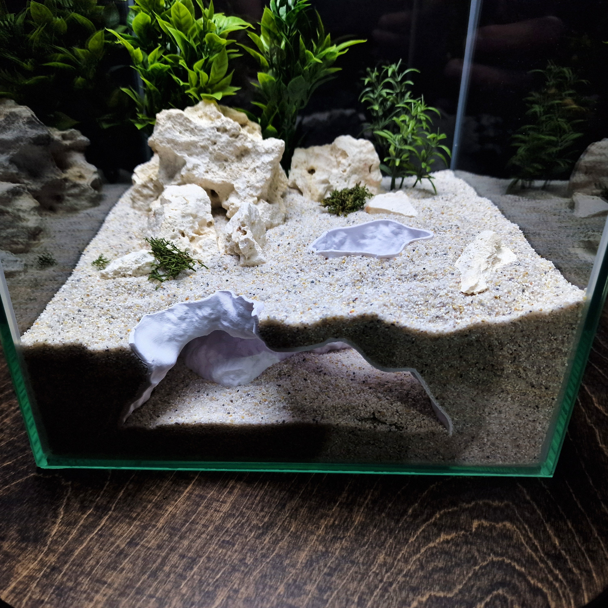 HydraNest Aquarium Cave — source 006 4