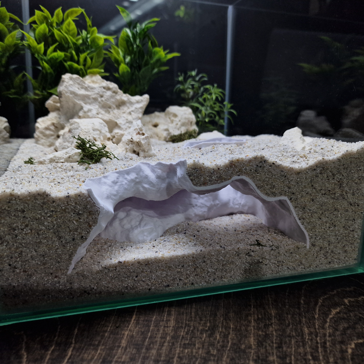 HydraNest Aquarium Cave — source 010 8