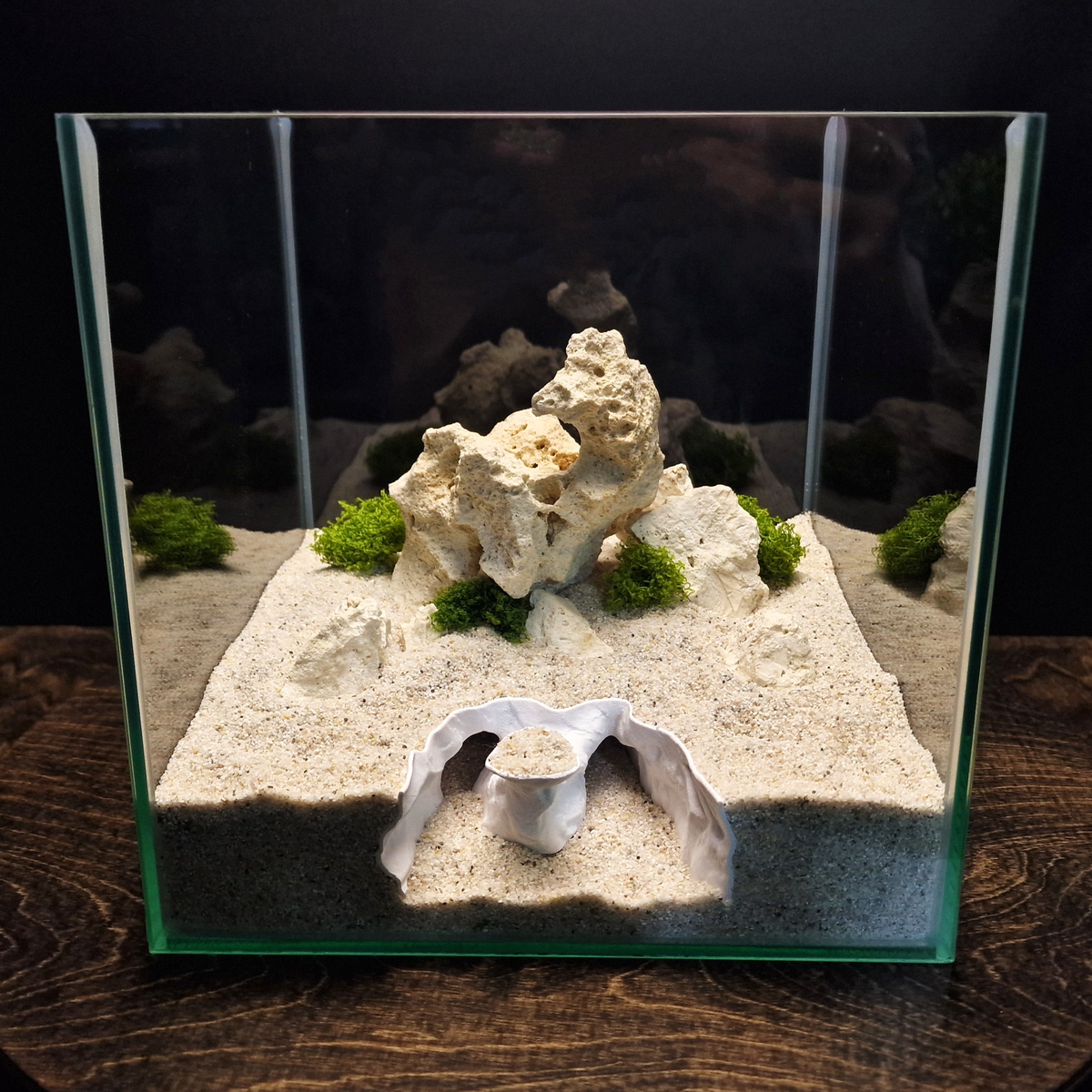 Nebula Ruin Aquarium Cave — source 001 1