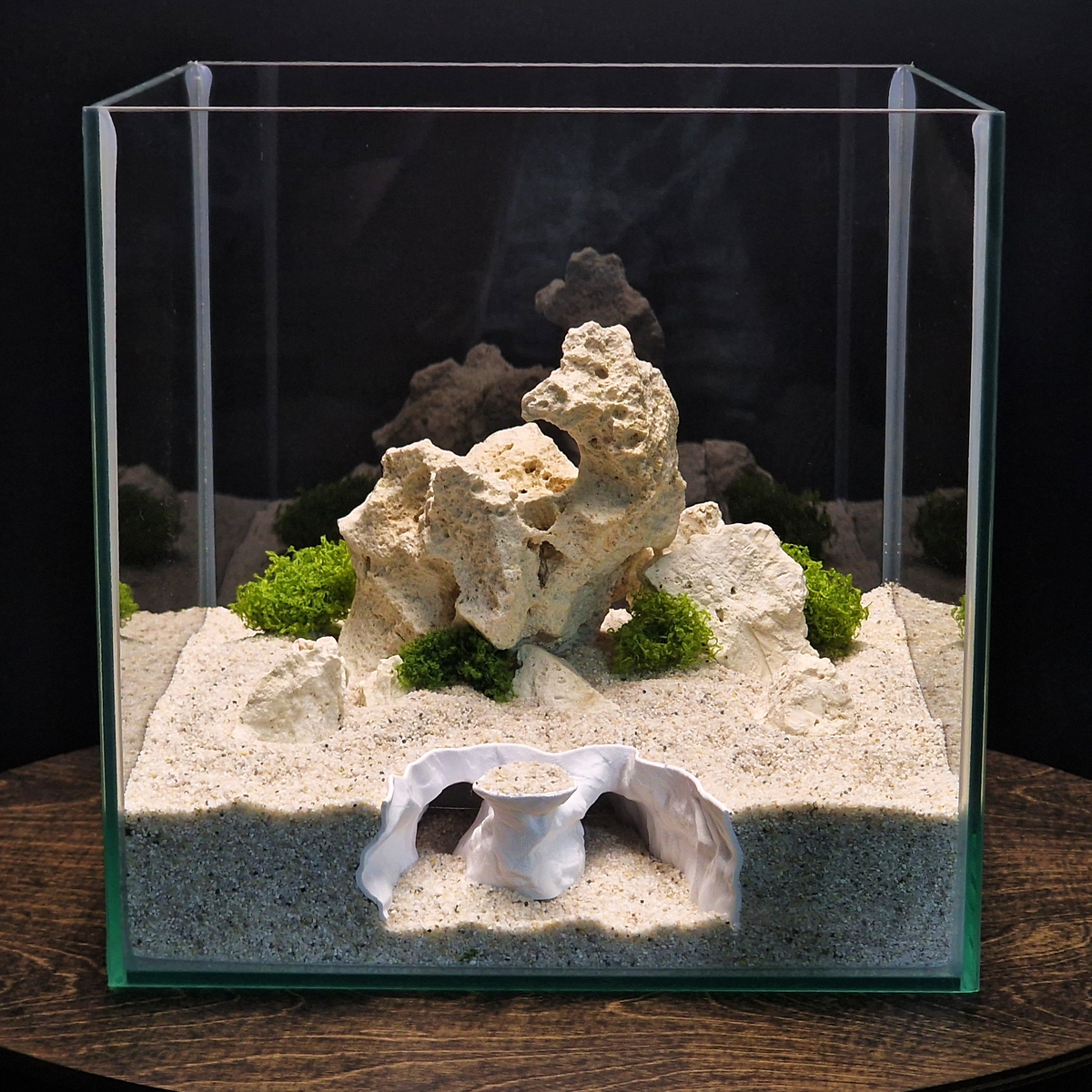 Nebula Ruin Aquarium Cave — source 008 7