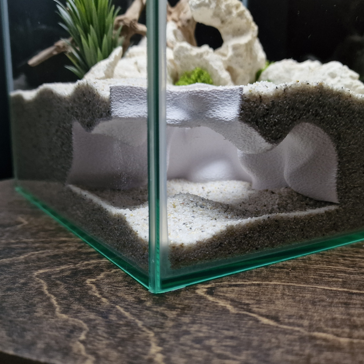 Ocean Corner Aquarium Cave — source 005 2