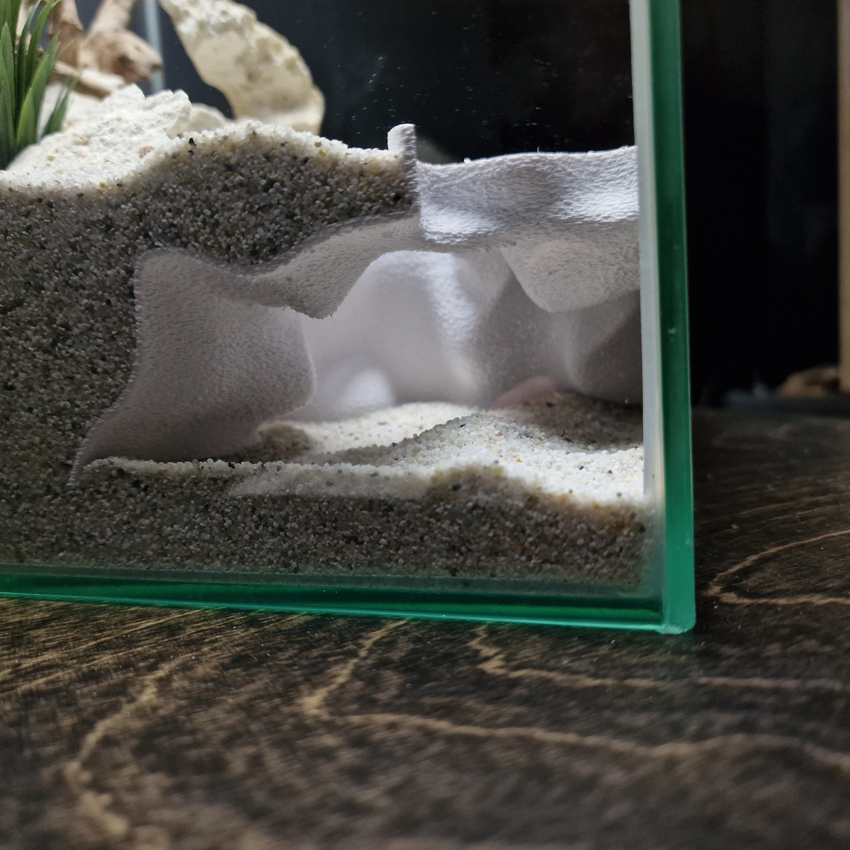 Ocean Corner Aquarium Cave — source 007 5