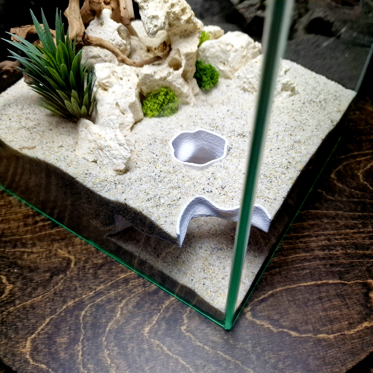 Ocean Corner Aquarium Cave — source 008 6