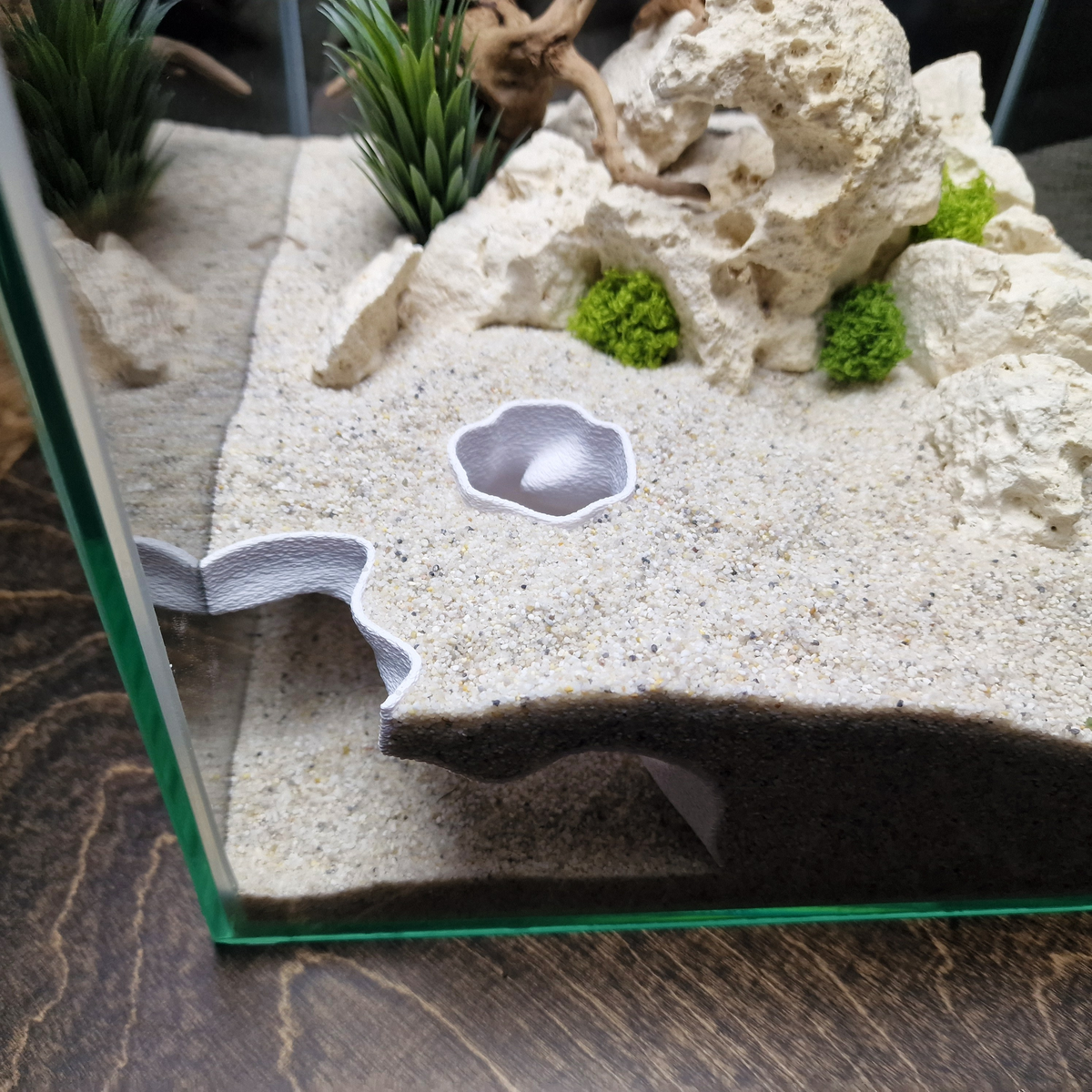Ocean Corner Aquarium Cave — source 009 7