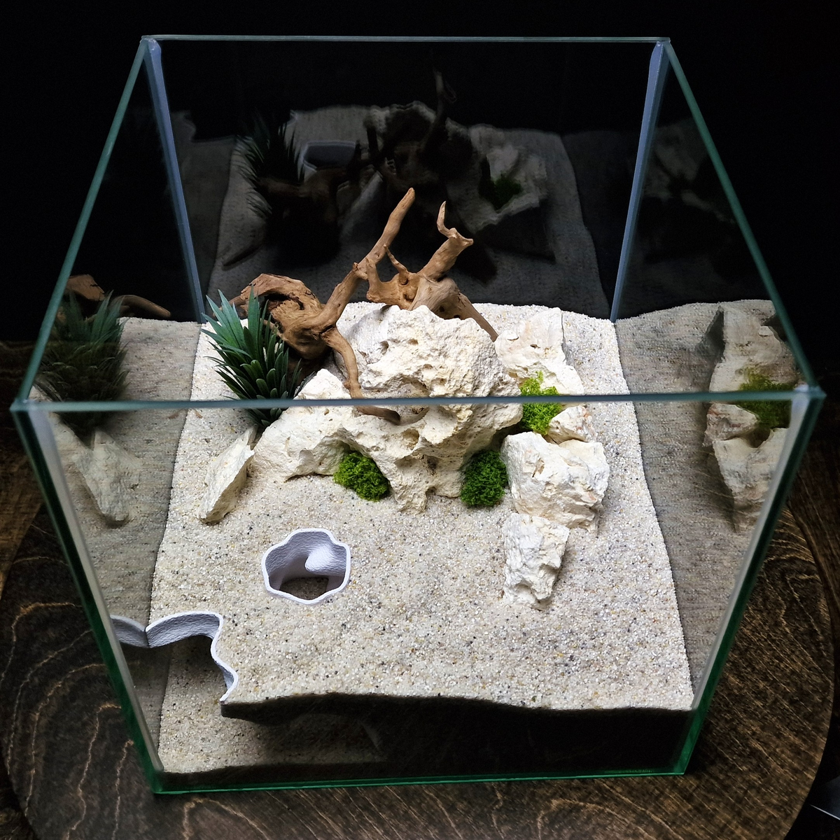 Ocean Corner Aquarium Cave — source 010 9