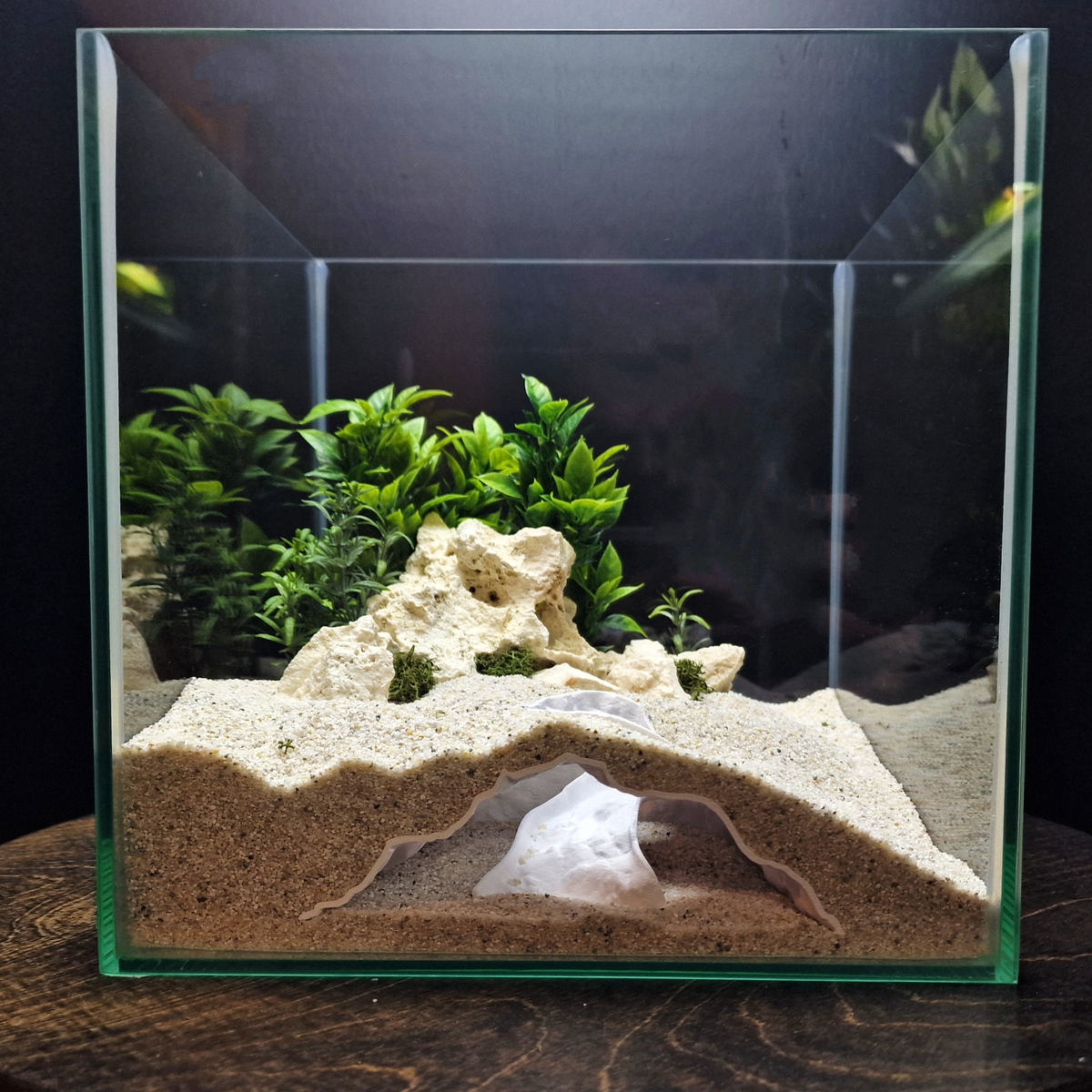 Ocean Vault Aquarium Cave — source 001 1