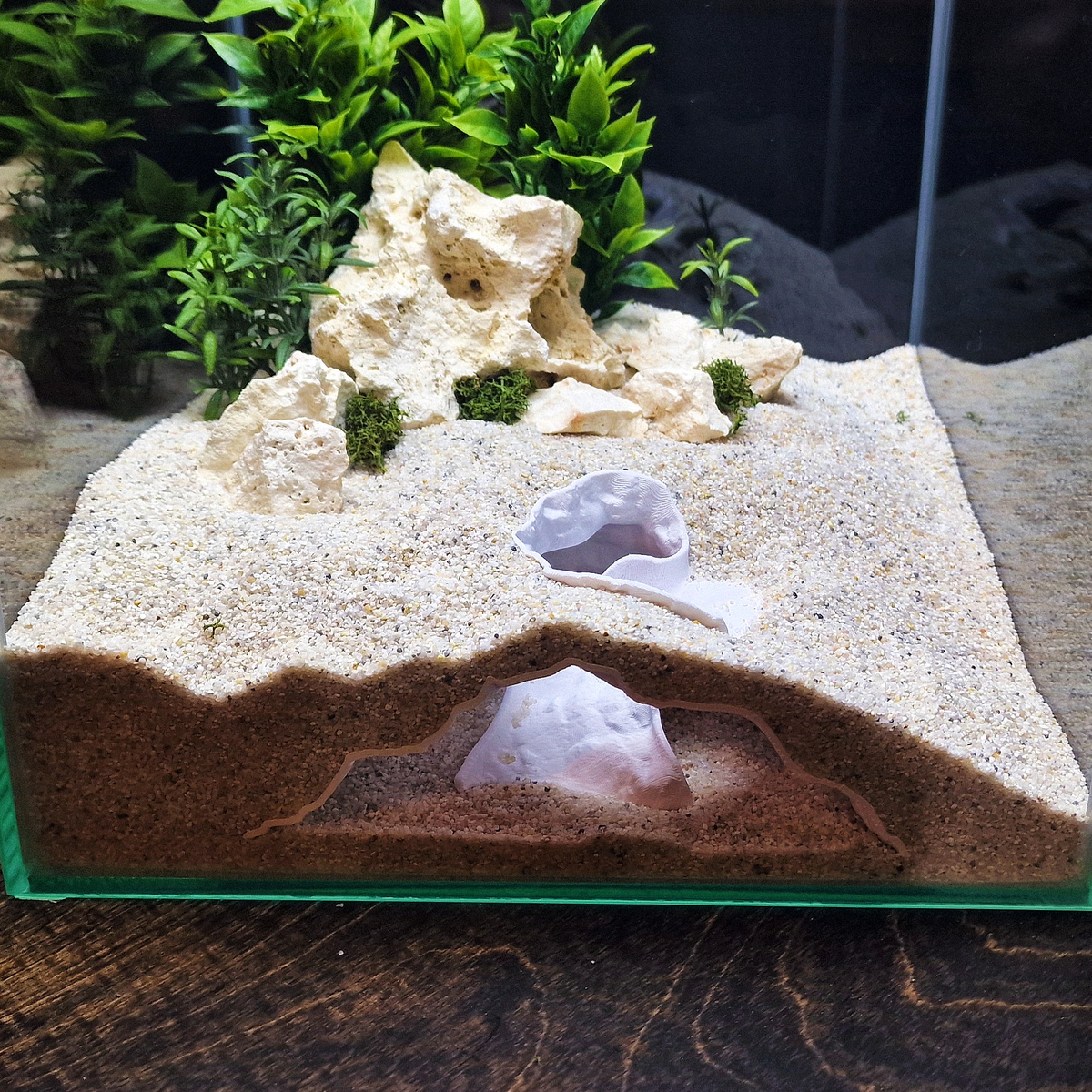 Ocean Vault Aquarium Cave — source 006 4