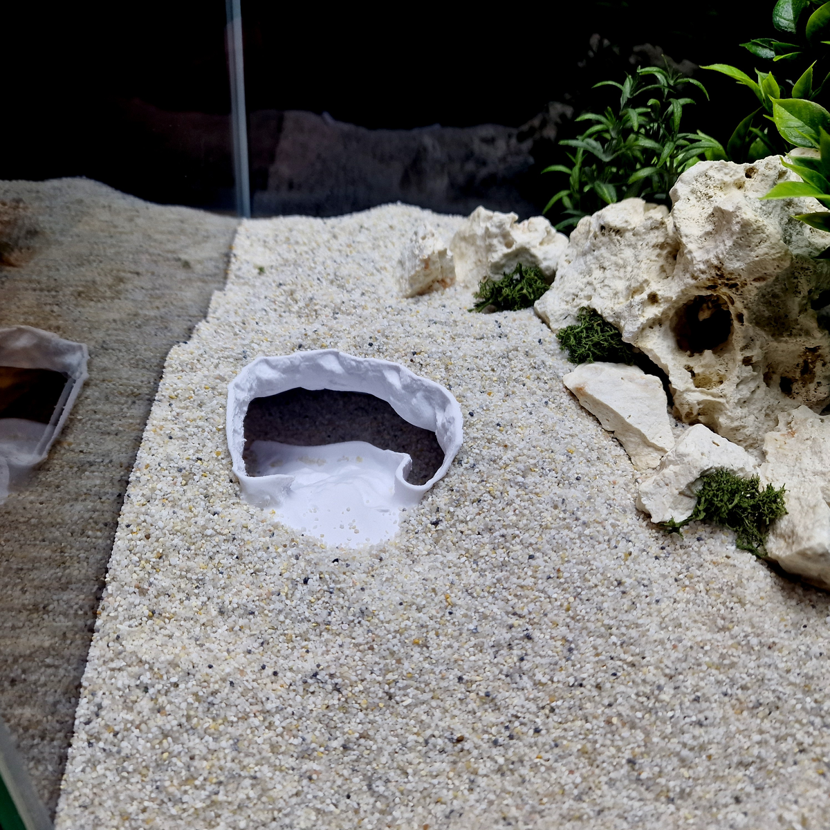 Ocean Vault Aquarium Cave — source 009 8