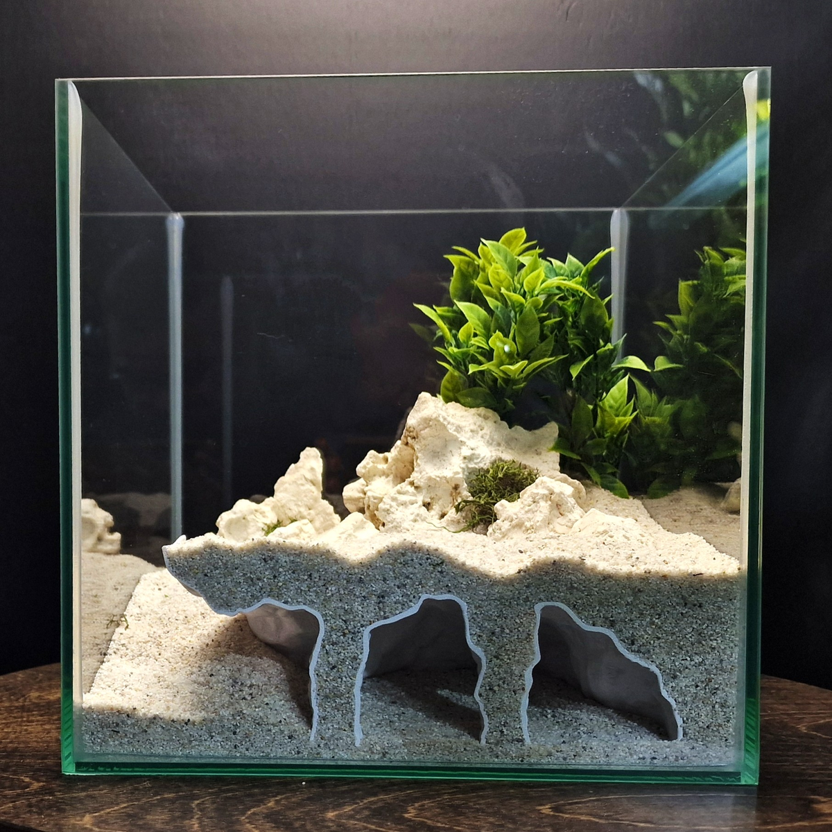Orbit Grave Aquarium Cave — source 001 1