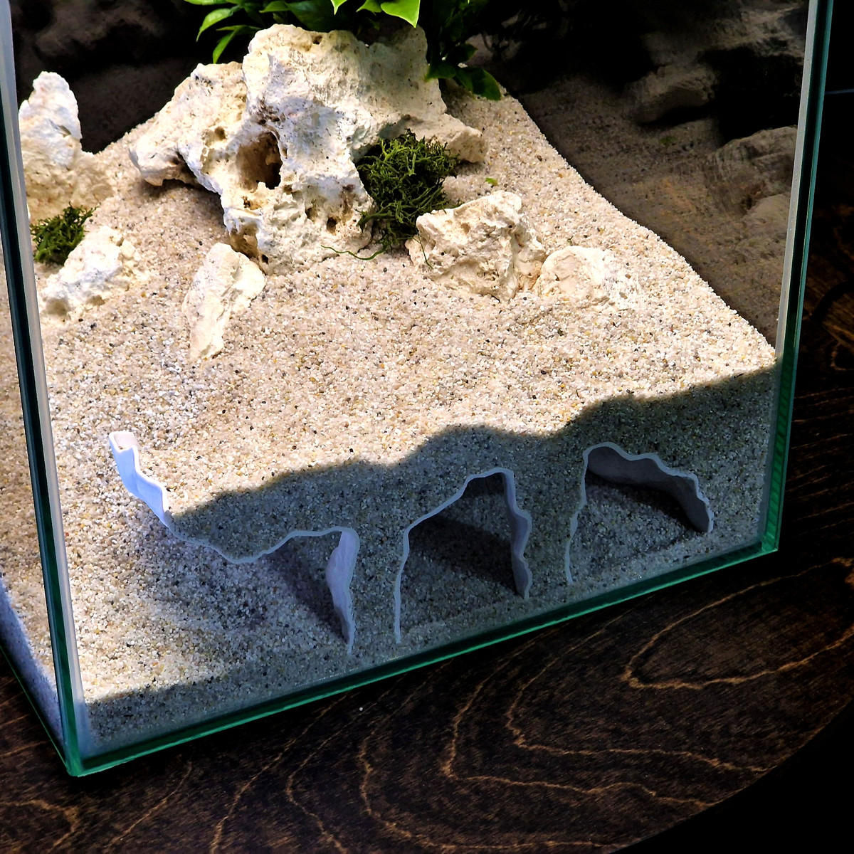 Orbit Grave Aquarium Cave — source 005 4