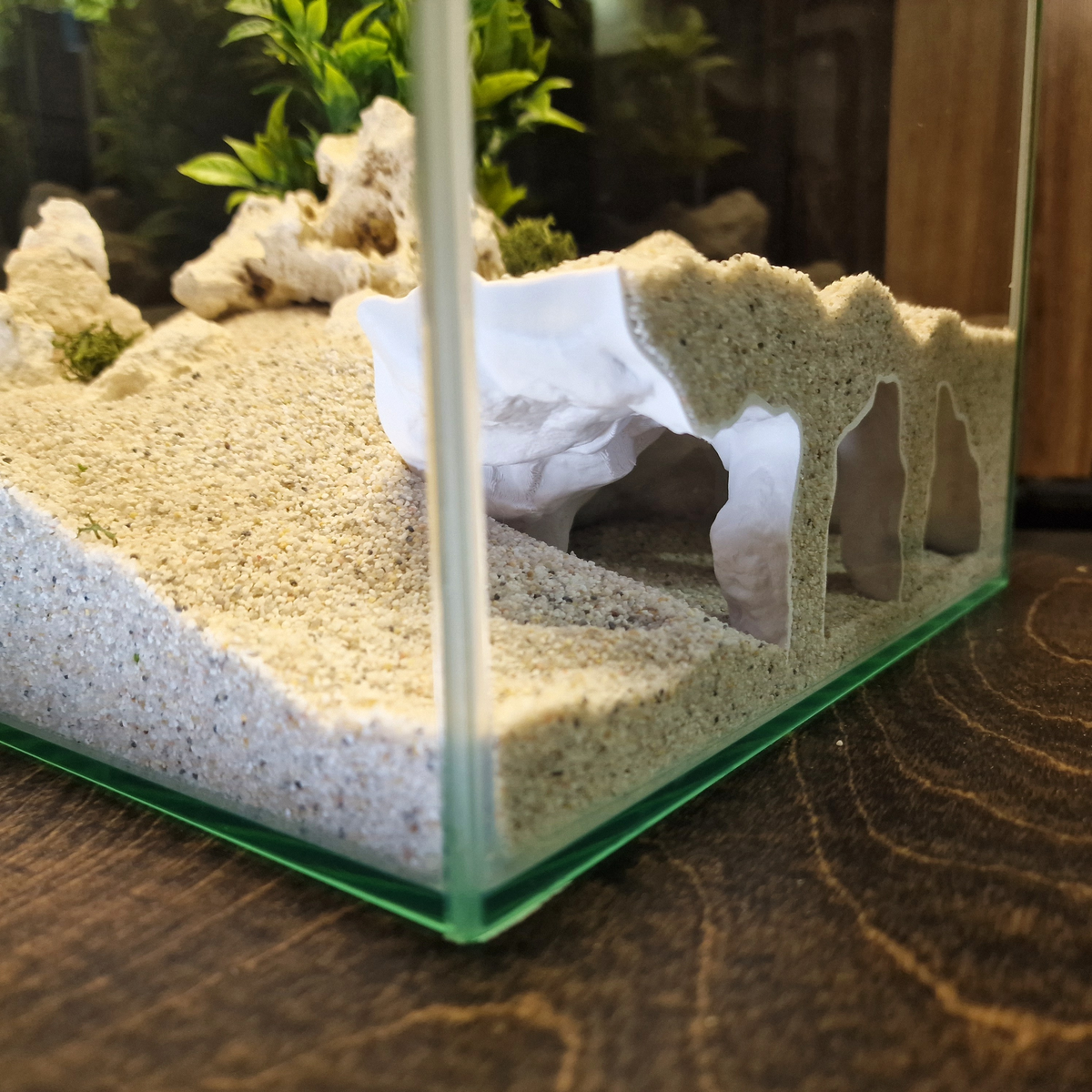 Orbit Grave Aquarium Cave — source 006 5