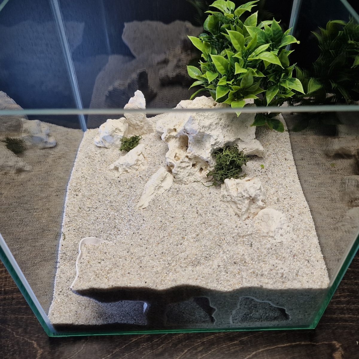 Orbit Grave Aquarium Cave — source 007 6