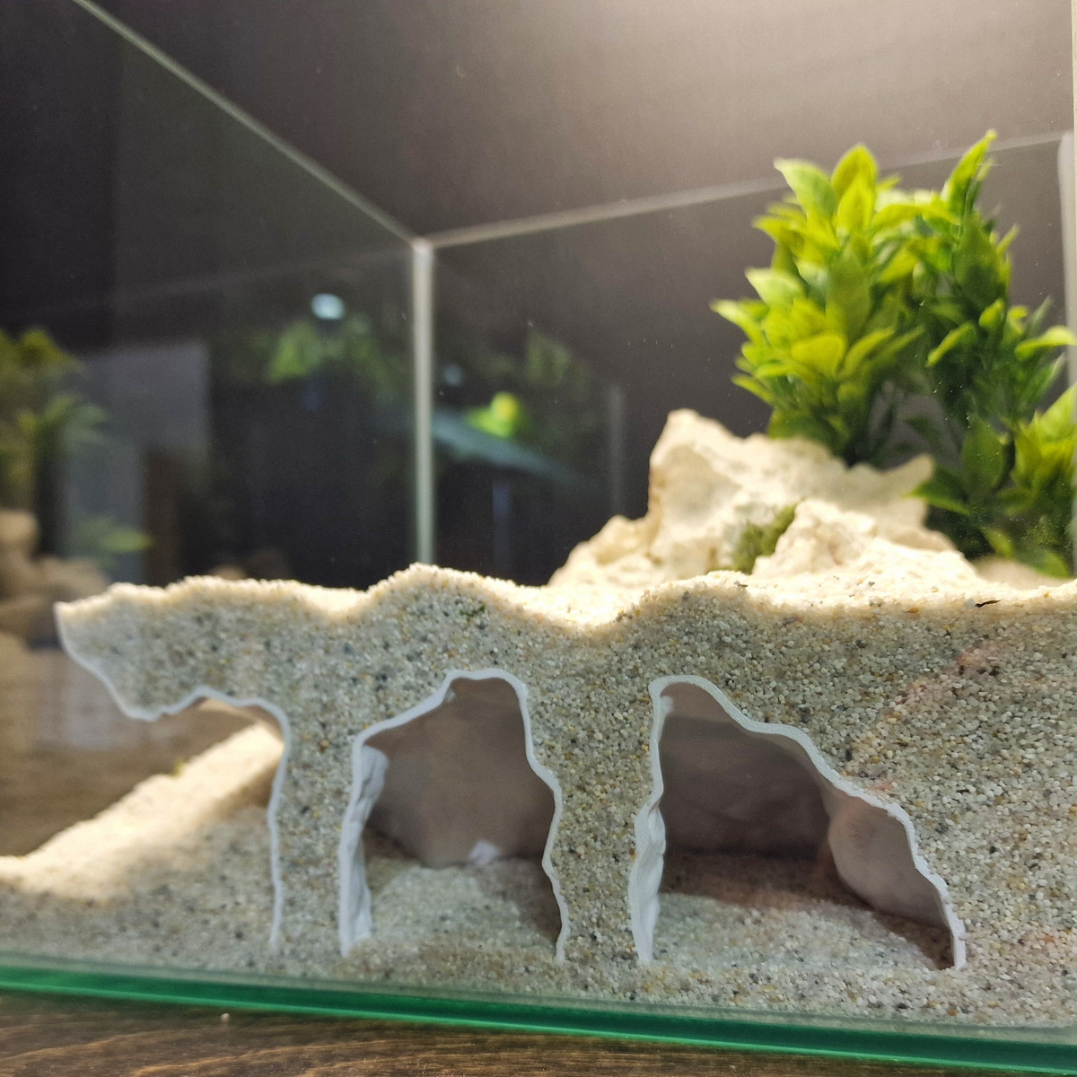Orbit Grave Aquarium Cave — source 008 7