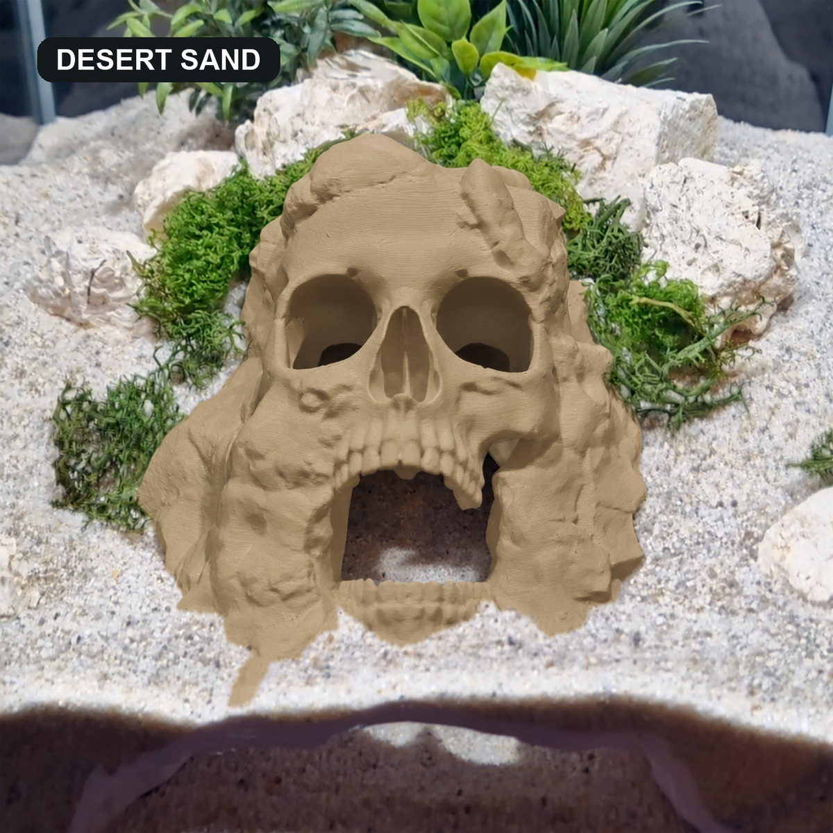 Pirate Cave aquarium skull cave desert sand finish