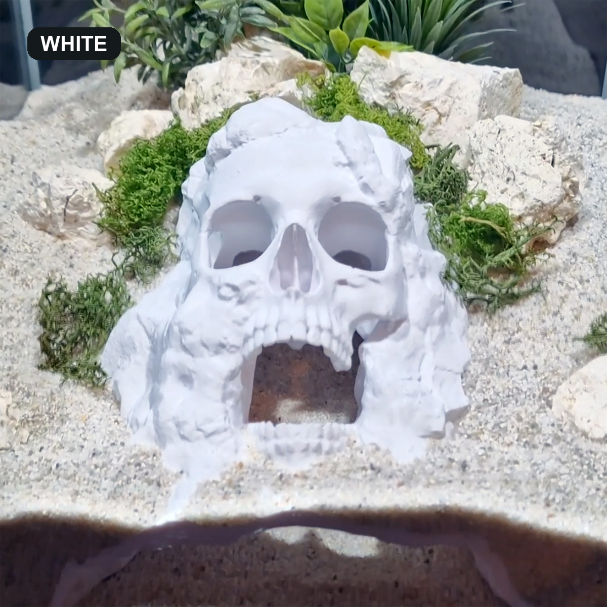 Pirate Cave aquarium skull cave white finish