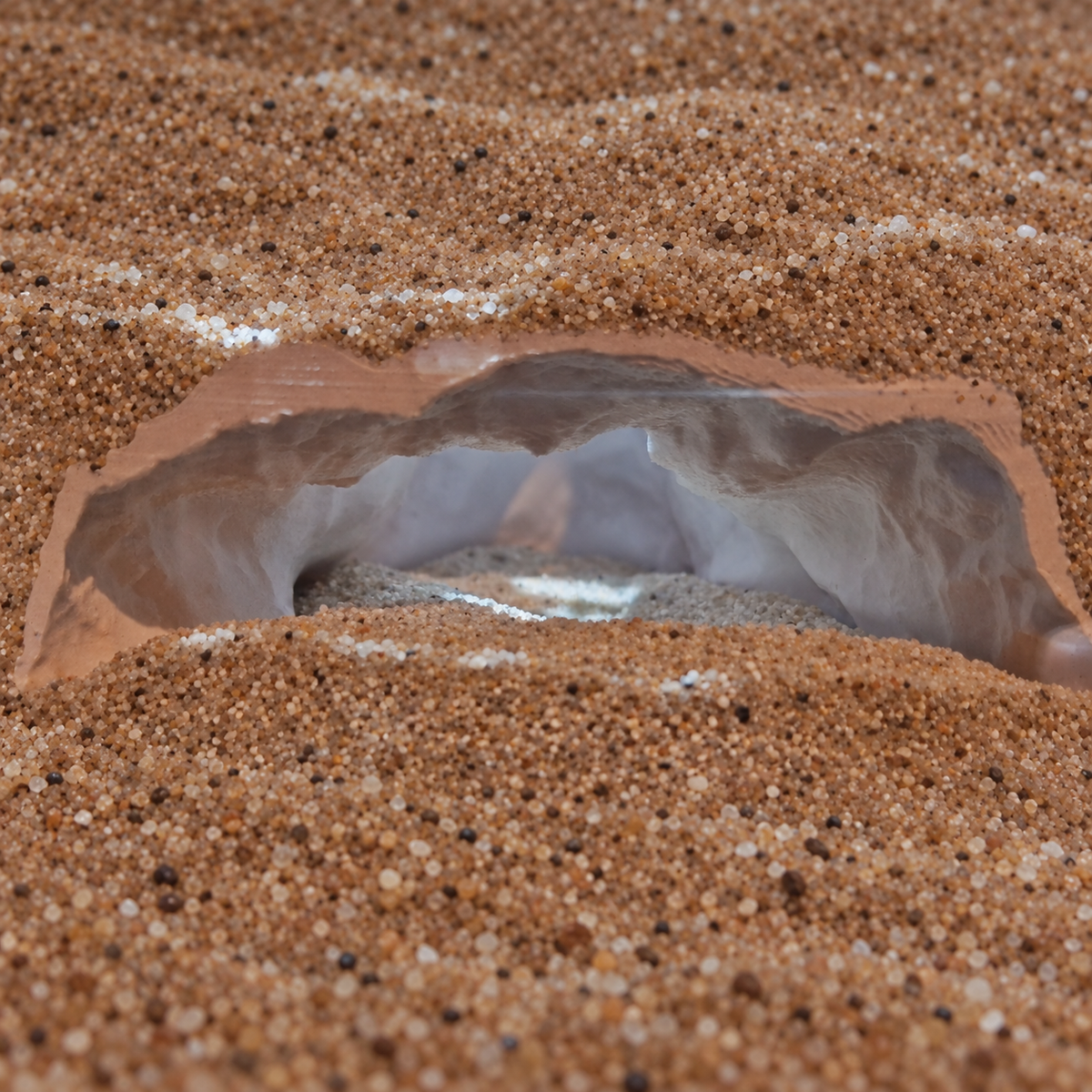 Pirate Cave aquarium skull cave source view 002-10