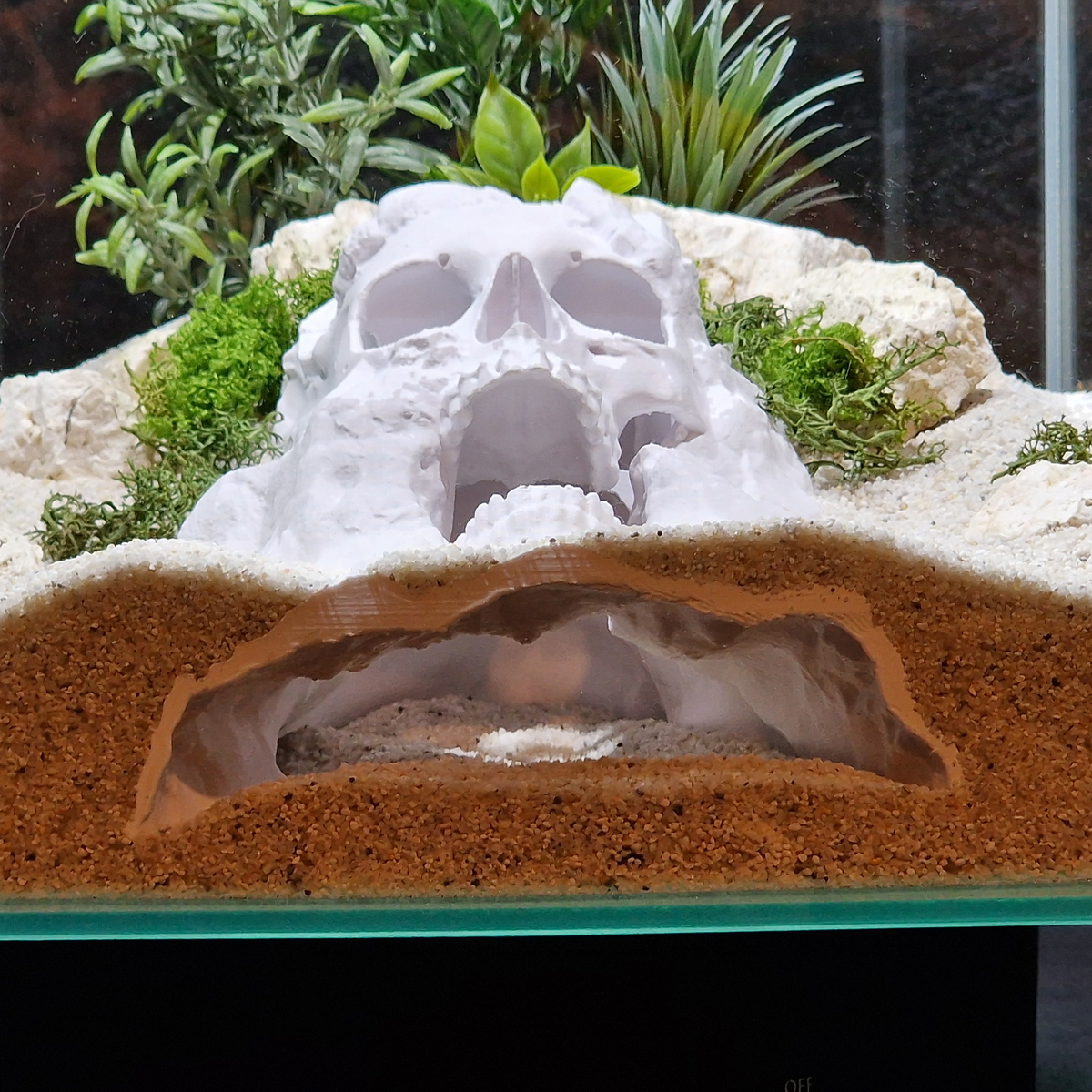 Pirate Cave aquarium skull cave source view 004-3