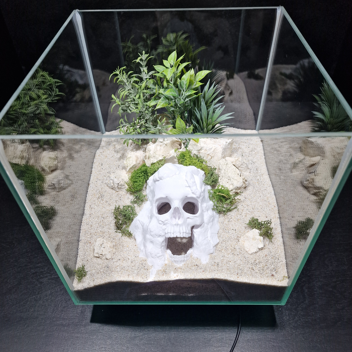 Pirate Cave aquarium skull cave source view 006-5