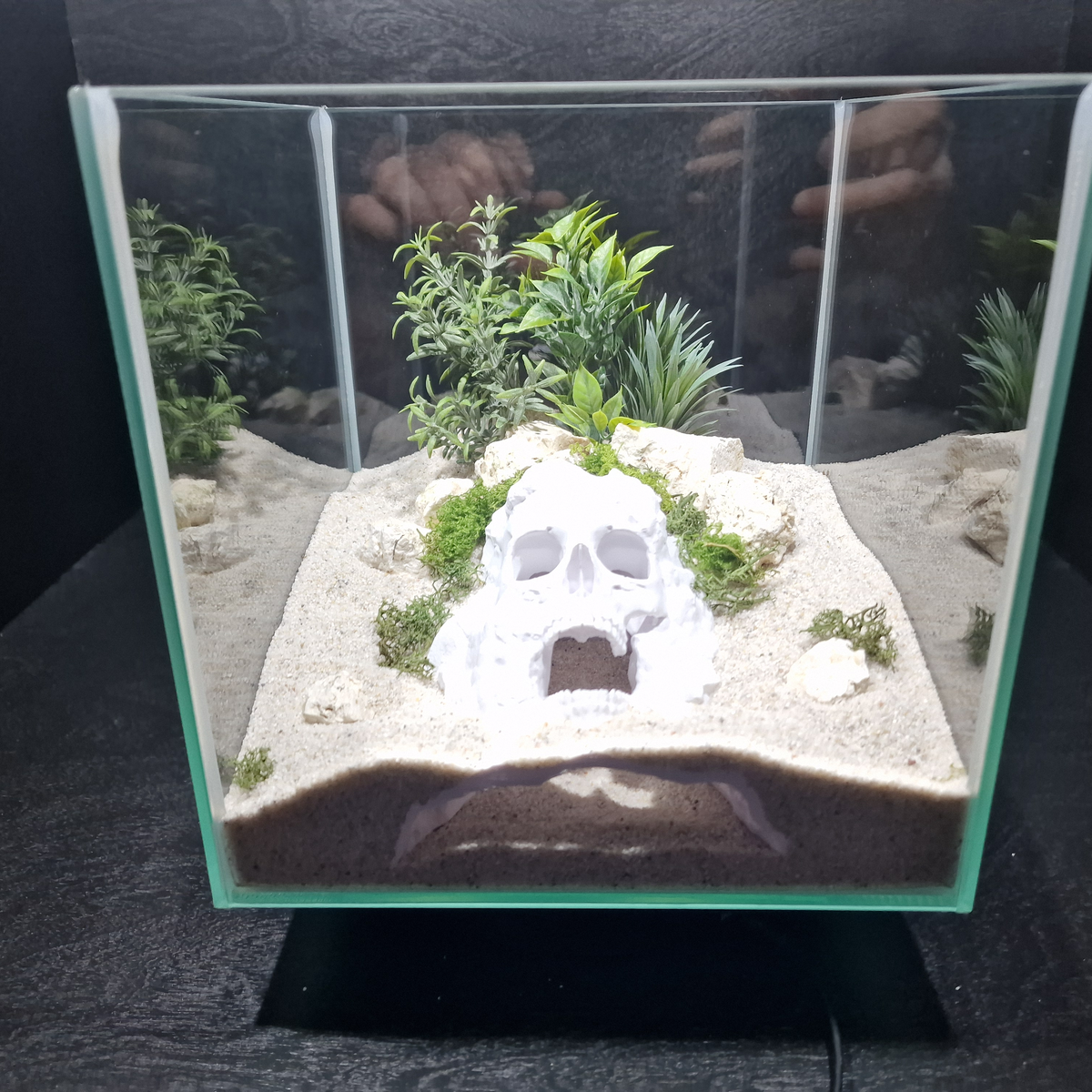 Pirate Cave aquarium skull cave source view 007-6