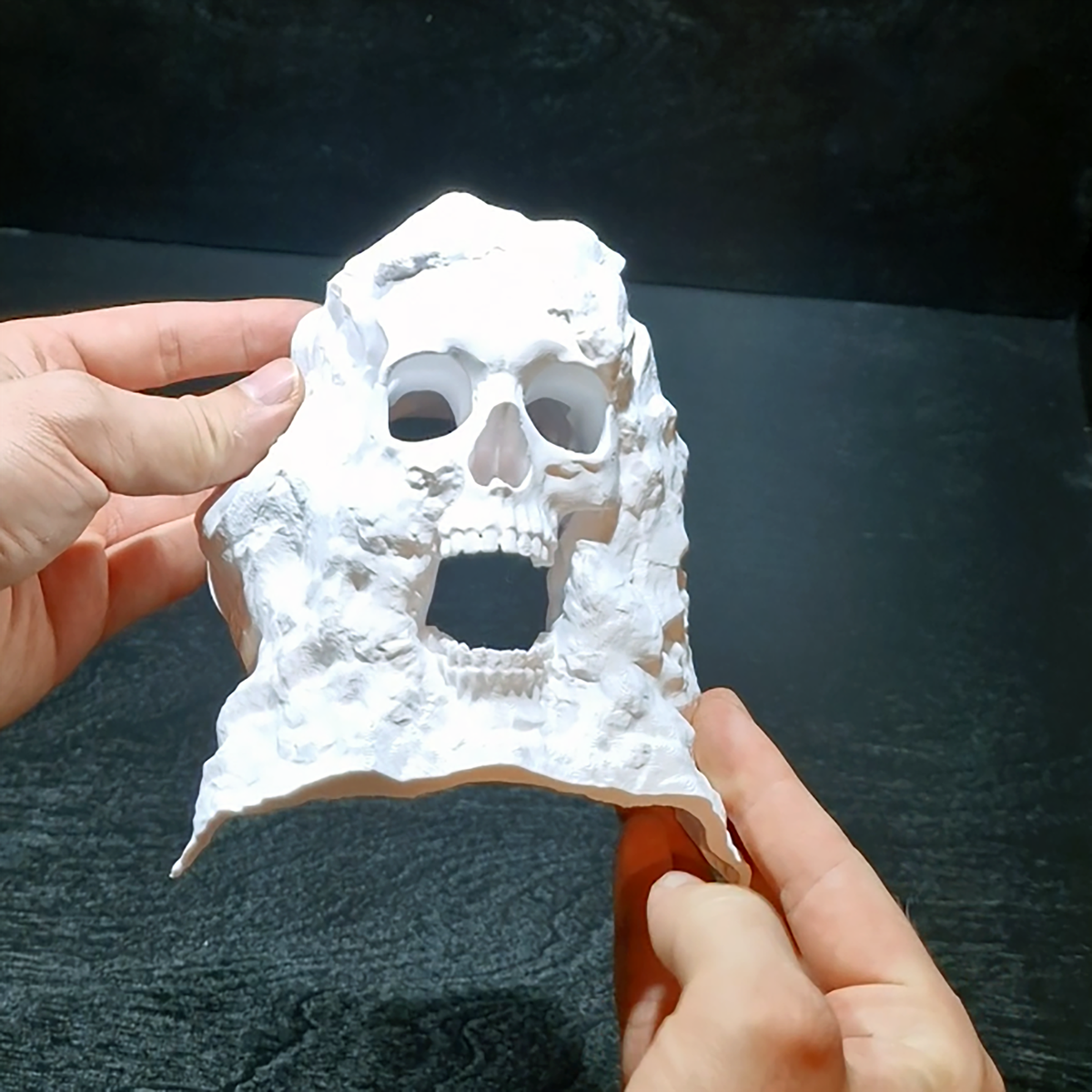 Pirate Cave aquarium skull cave source view 009-8