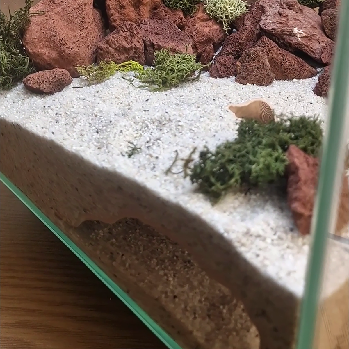 Riptide Corner Cave — source 002 10