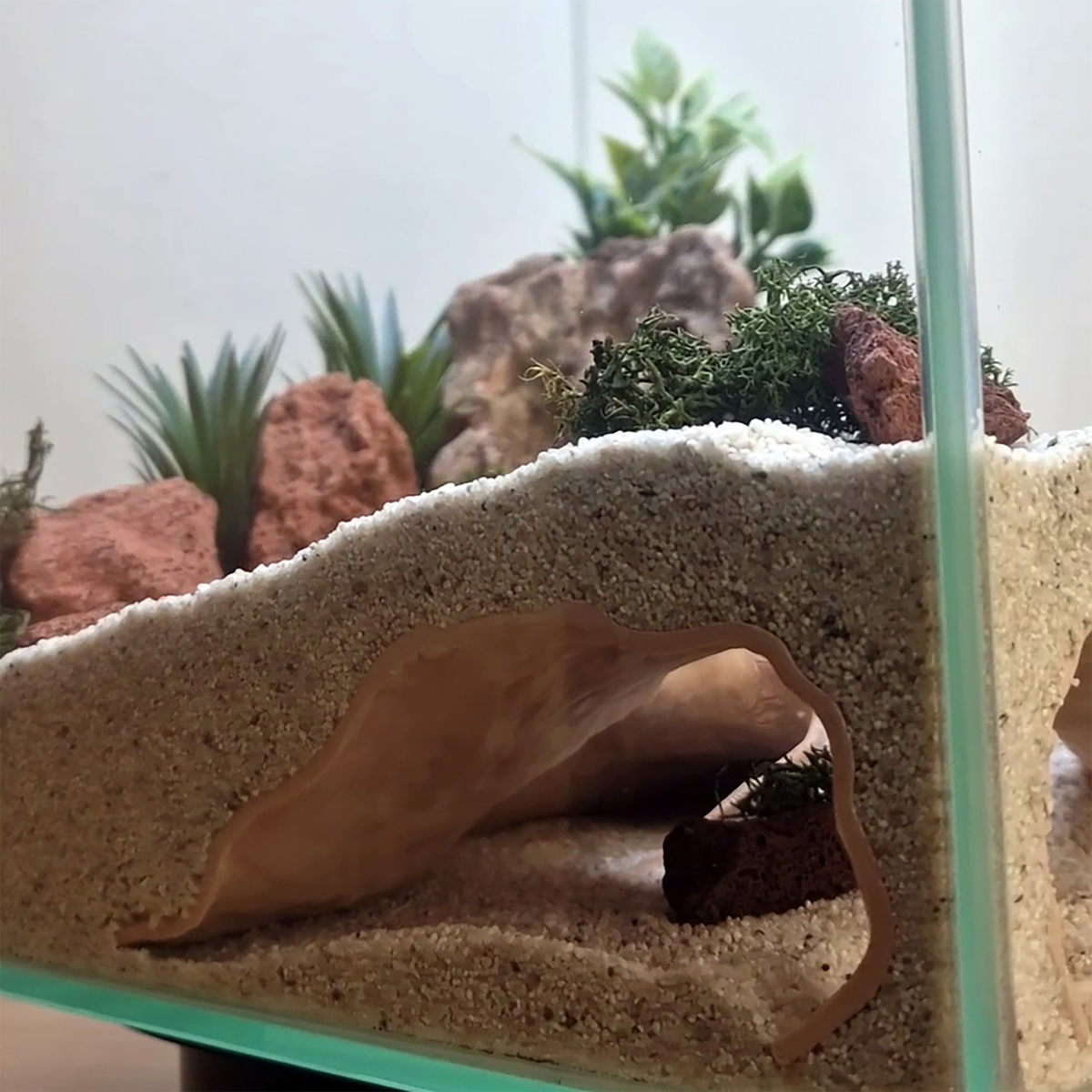 Riptide Corner Cave — source 010 9