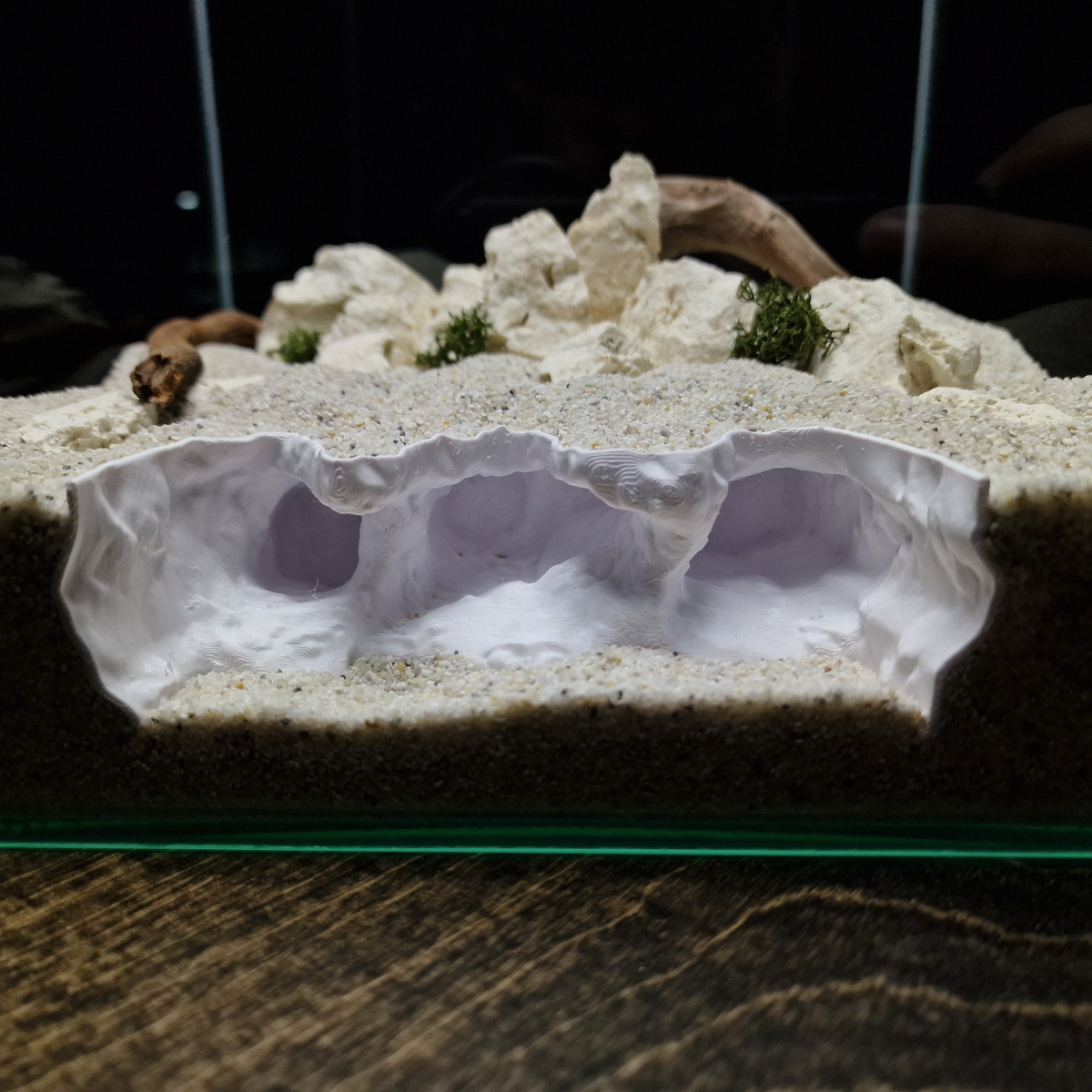 Saltwater Canyon Aquarium Hide — source 001 1