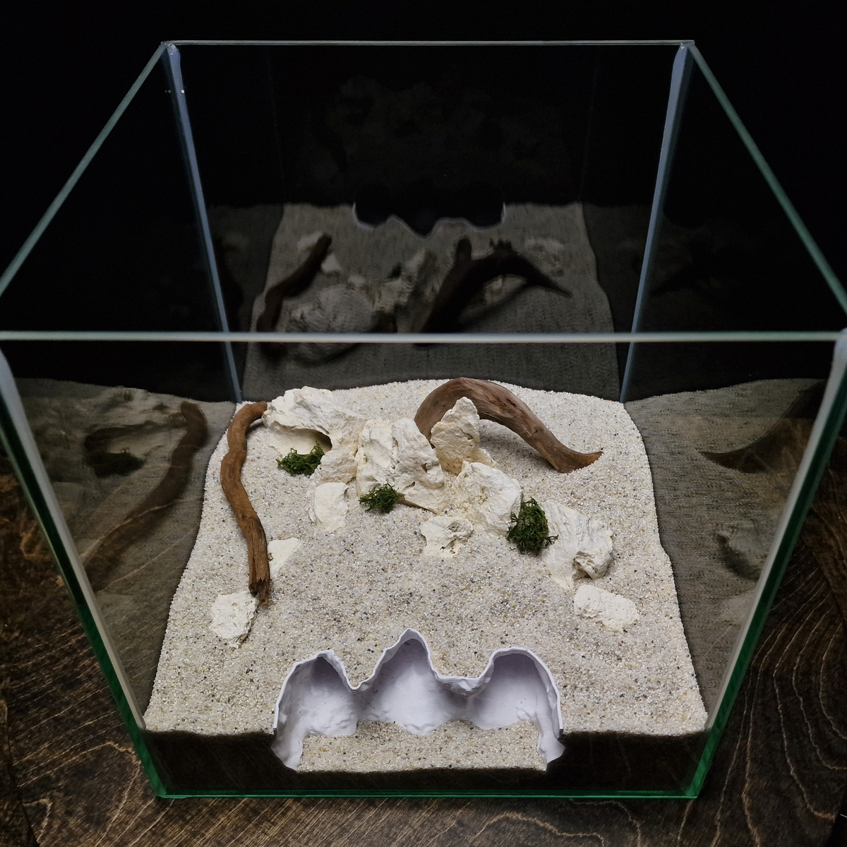 Saltwater Canyon Aquarium Hide — source 004 3
