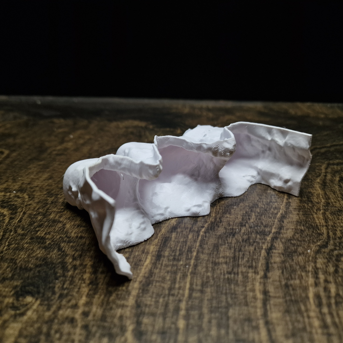 Saltwater Canyon Aquarium Hide — source 010 9