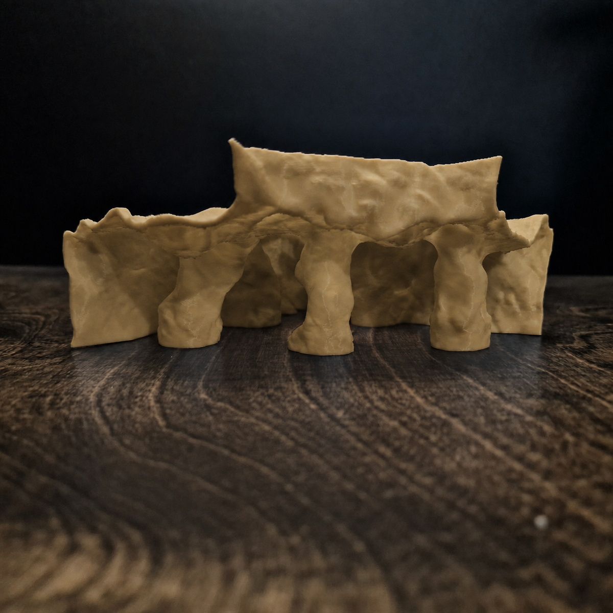 Tide Mesa Pleco Cave & Aquarium Tunnel – 3D-Printed Fish Hide
