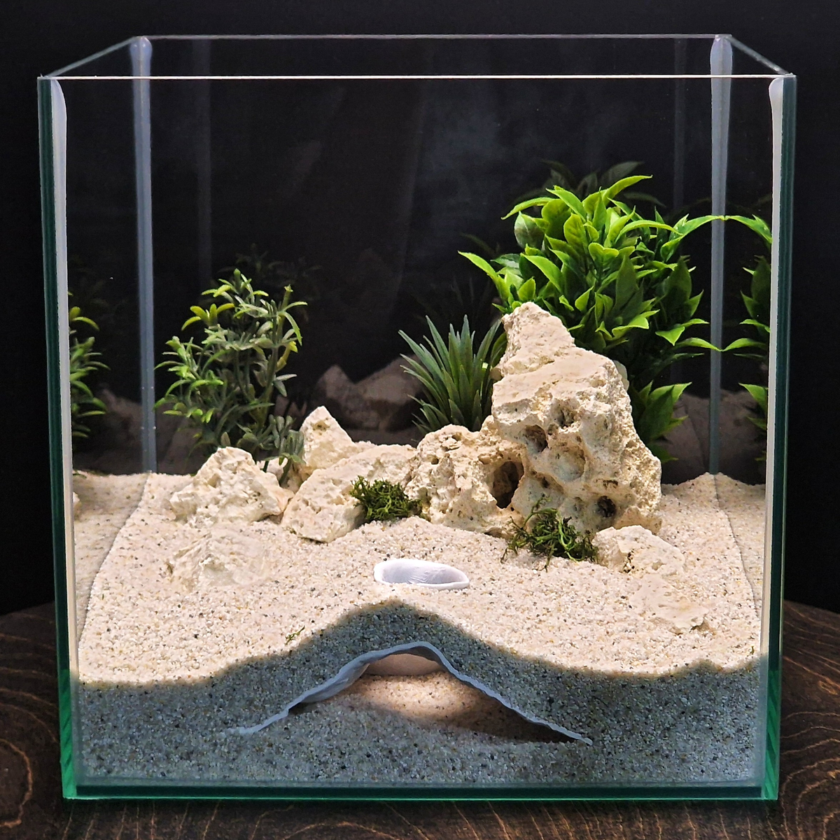 Stellar Relic Aquarium Cave — source 003 2