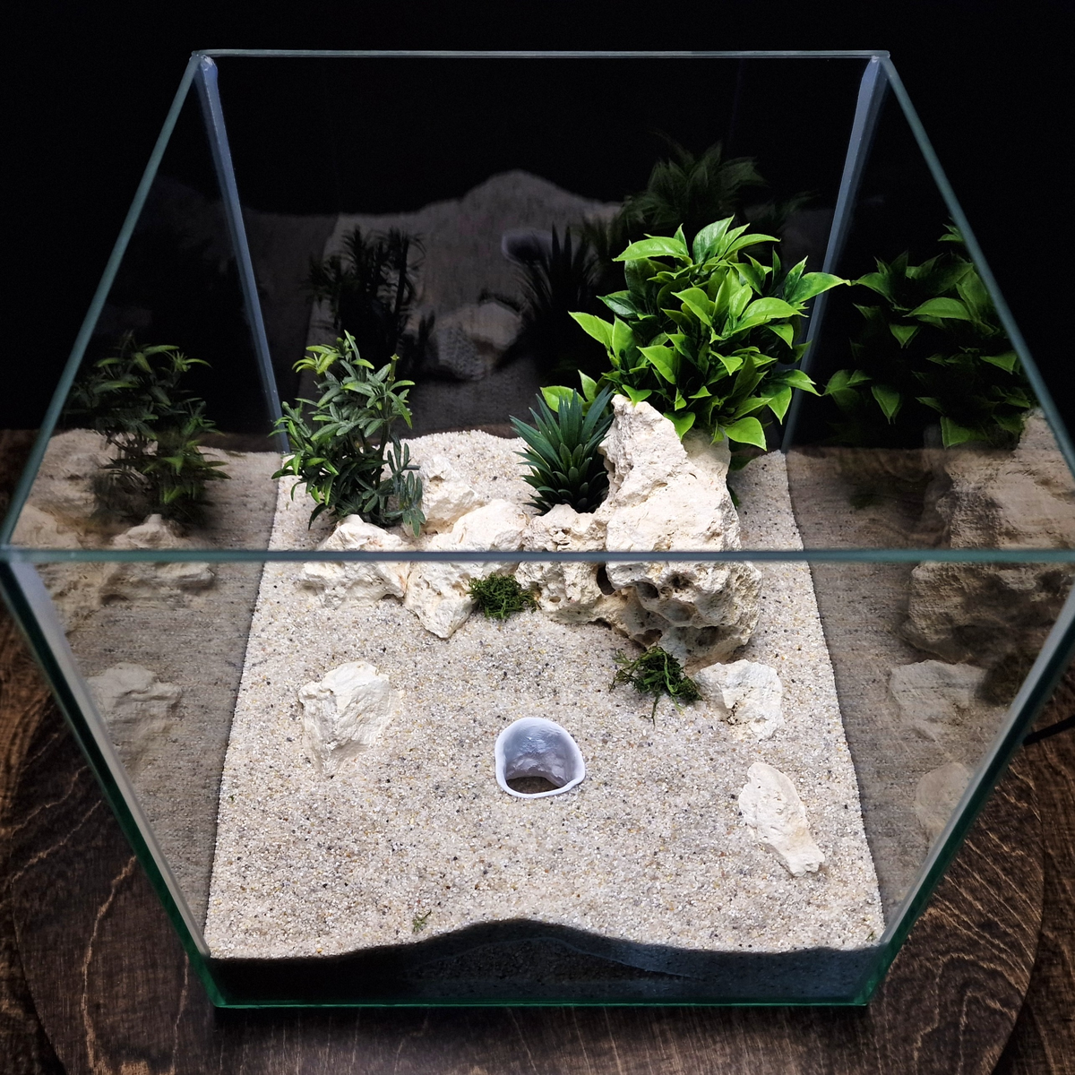 Stellar Relic Aquarium Cave — source 006 6
