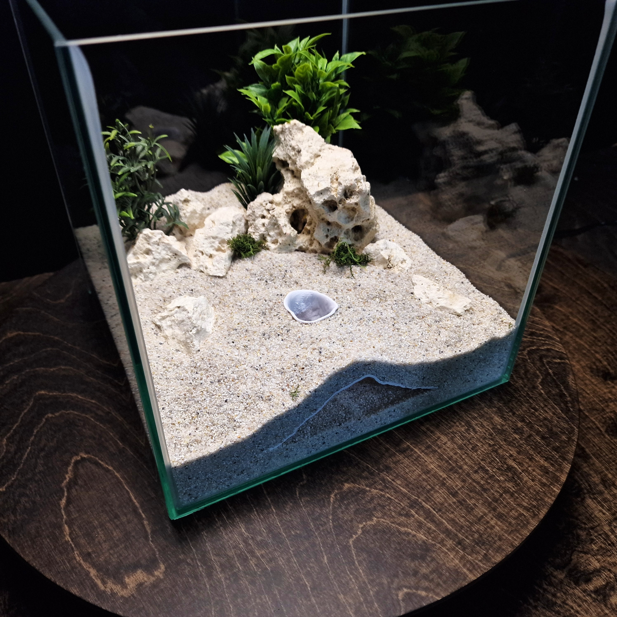 Stellar Relic Aquarium Cave — source 009 9