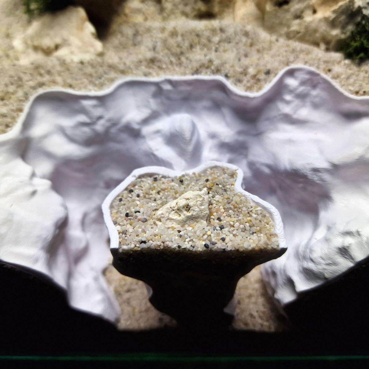 StoneVortex Den Aquarium Cave — source 008 8
