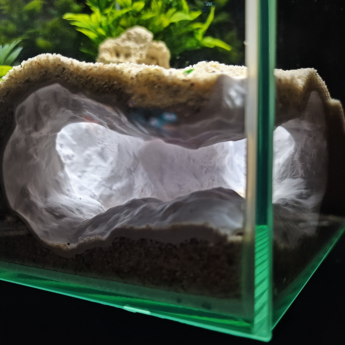 Tideveil Den Aquarium Corner Cave — source 001 1