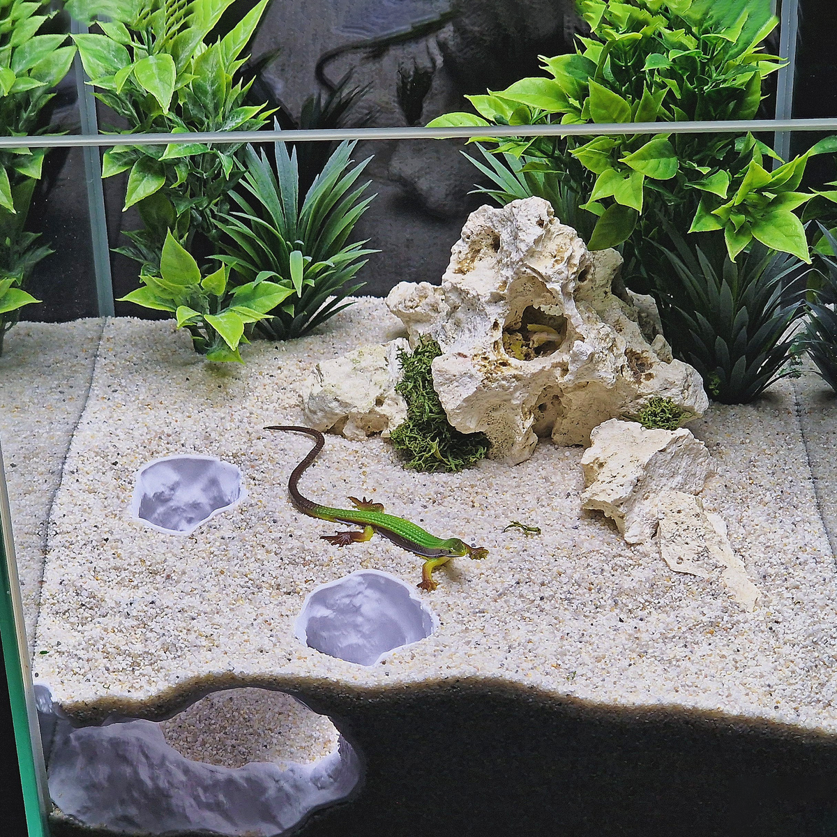 Tideveil Den Aquarium Corner Cave — source 005 4